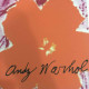 Andy Warhol Lithograph off set 60x60 cm