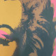 Andy Warhol Lithographie hors set 60x60 cm