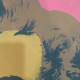 Andy Warhol Lithographie hors set 60x60 cm