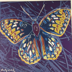 Andy Warhol Set de litografías 60x60 cm