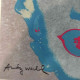 Andy Warhol Set de litografías 60x60 cm