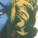 Litografia de Andy Warhol off set 60x60 cm