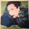 Andy Warhol Lithograph off set 60x60 cm