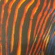 Zestaw litografii Andy'ego Warhola o wymiarach 60x60 cm