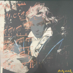 Andy Warhol Lithographie Offset 60x60 cm