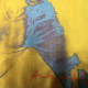 Andy Warhol Lithographie Offset 60x60 cm